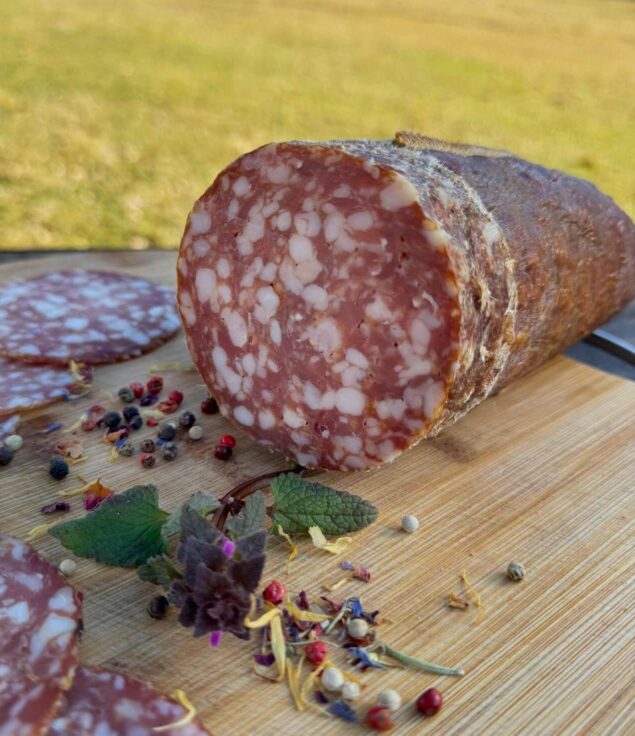 salama-sa-vrganjima4